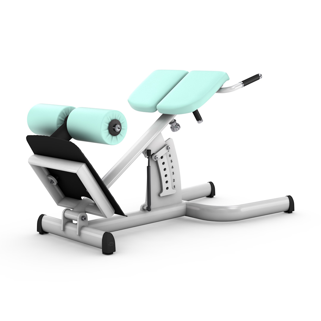 gym80 Hinterer Rumpfheber stehend Medical