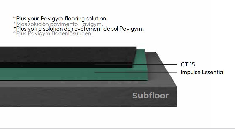 Pavigym Accoustic Impulse