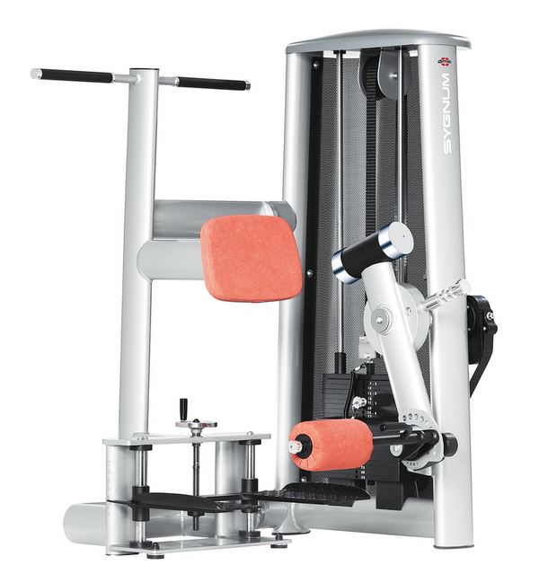 gym80 SYGNUM Beinbeuger stehend